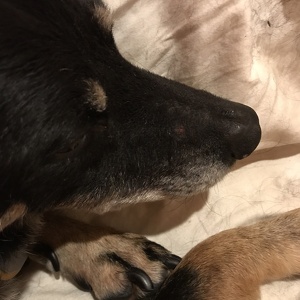 Fundraising Page: Julia Gamas